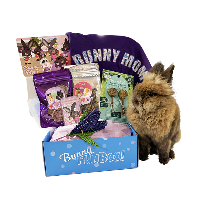 Bunny FunBox Mom Box subscription